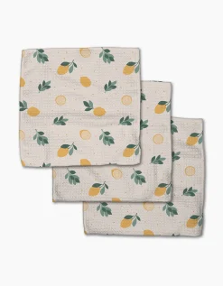 GEOMETRY Freshly Picked Dishcloth Set