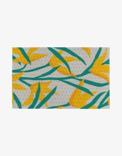 GEOMETRY Growth Not Paper Towel