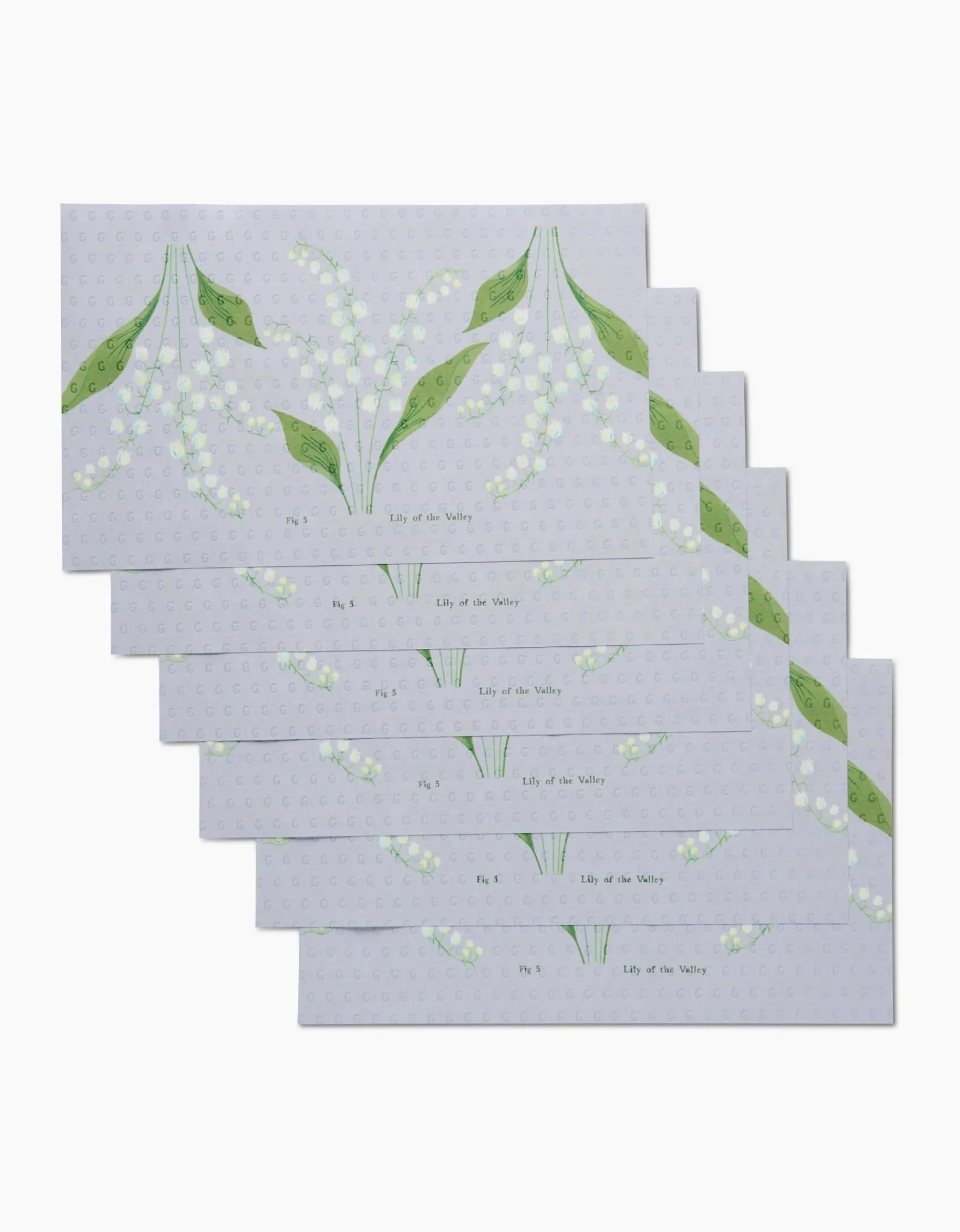 GEOMETRY May Lilly Of The Valley Not Paper Towel