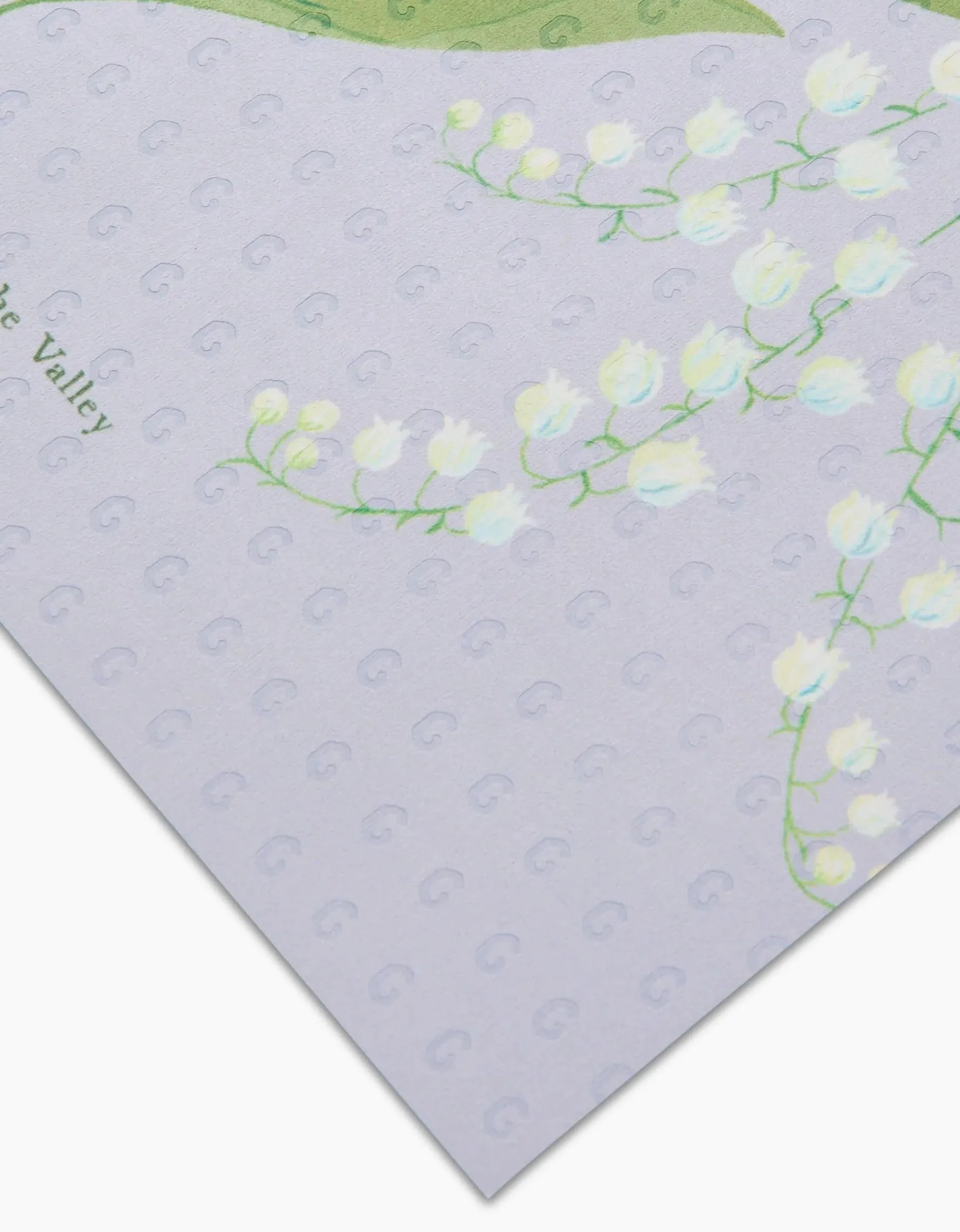 GEOMETRY May Lilly Of The Valley Not Paper Towel