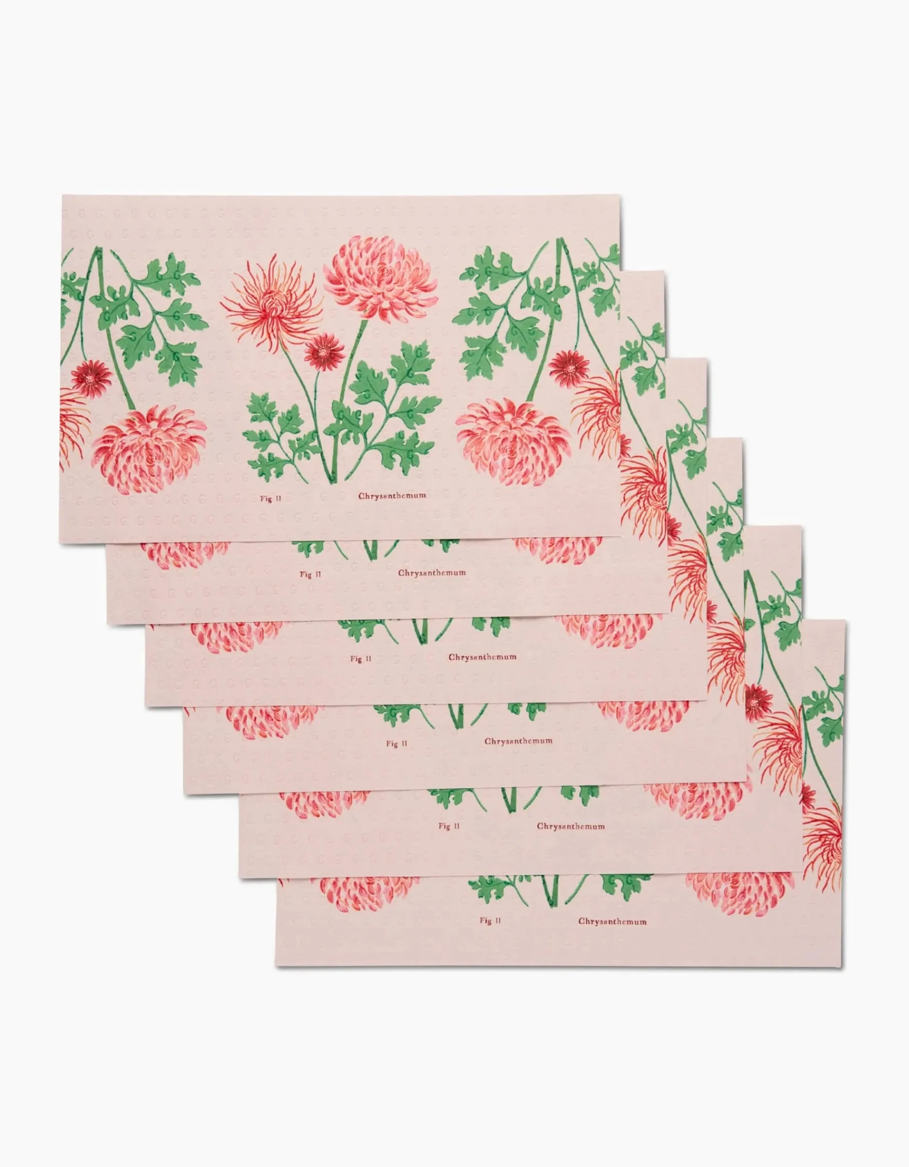 GEOMETRY November Chrysanthemum Not Paper Towel