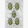 GEOMETRY Olive Beetles Tea Towel