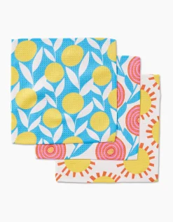 GEOMETRY Parade Dishcloth Set