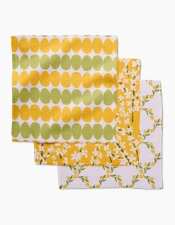 GEOMETRY Signs of Springtime Dishcloth Set