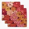 GEOMETRY Spicy Pumpkins Dishcloth Set