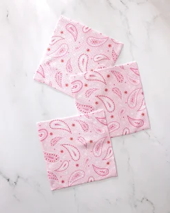 GEOMETRY Sweet Paisley Dishcloth Set