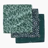 GEOMETRY Trail Dusting Dishcloth Set